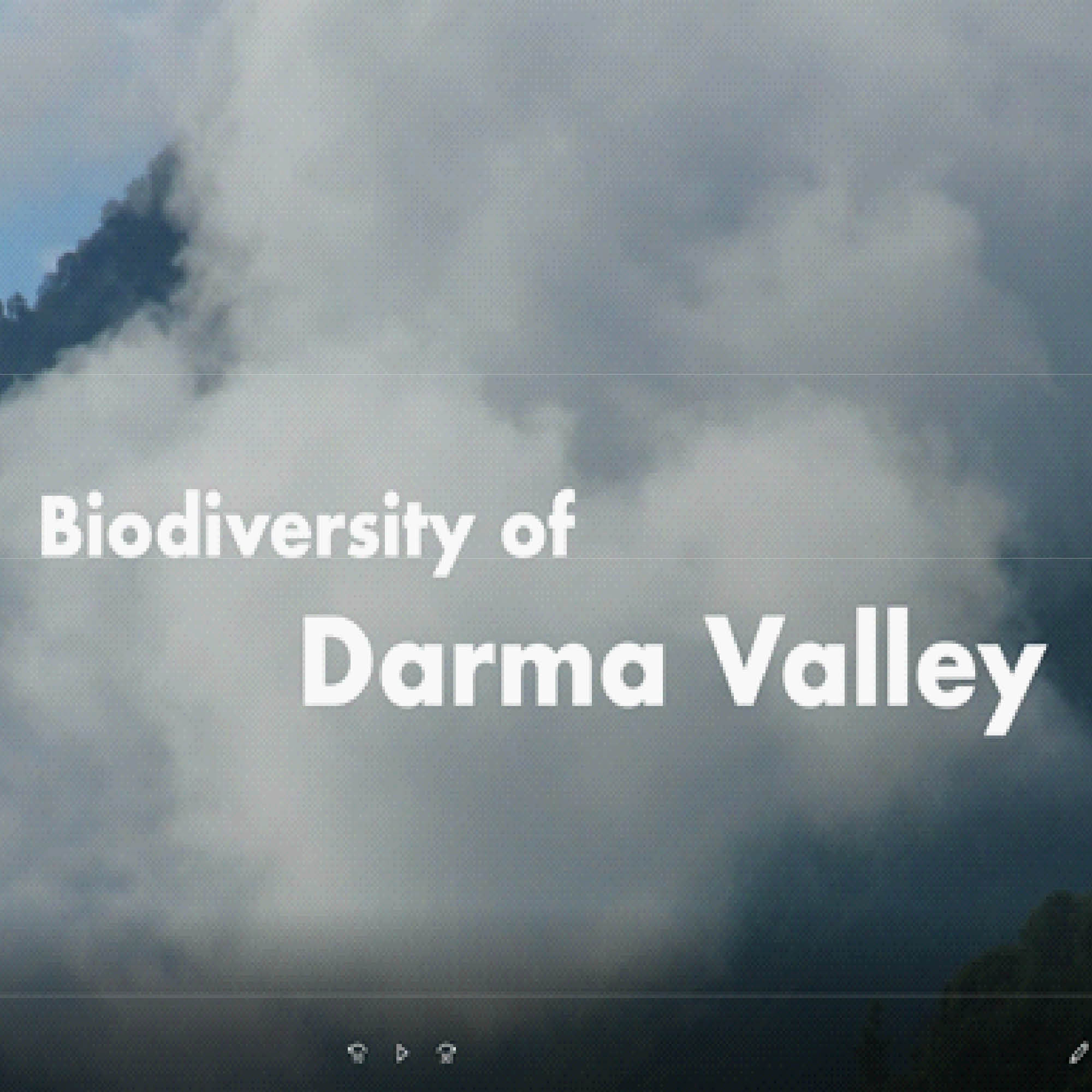 Biodiversity of Darma Valley
